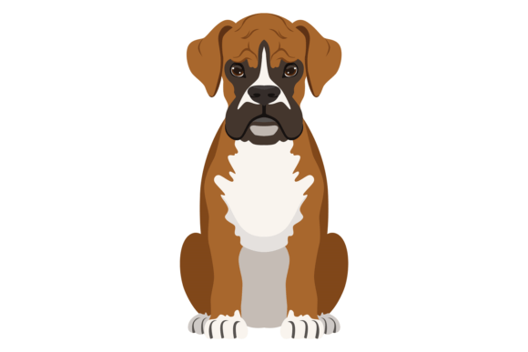 Boxer Dog: The Bold Display Font for Creative Brands