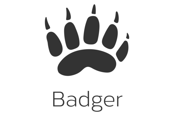 Decoding the Badger Footprint: A Forest Wild Animal Trail Mark