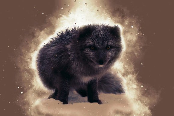 Printable Animal Graphics #13: Elevate Your Creative Projects
