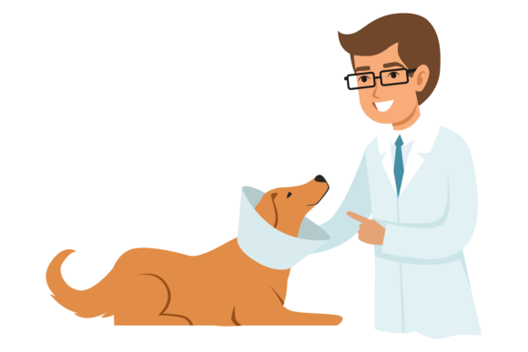 Veterinarian Treat Dog: A Creative Font for Animal-Focused Brands